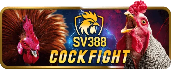 Hỗ trợ Trực tuyến 24/7 của new888 nhà cái